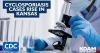Kansas reports 55 cyclosporiasis cases in 2026 as domestic infections rise