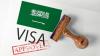 Saudi Arabia to issue new training visas
