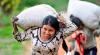 Colombia: Pockets of insecurity challenge ‘vibrant democracy’, Security Council told