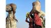 When Paperwork Costs Lives – The Silent Weapon In Sudan's ...
