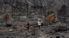 Seven Brits among 13 killed in deadly southern Spain wildfires