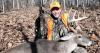 Declines in deer hunting nationwide, in Missouri draw concerns