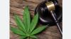Kenyan court rejects Rastafari bid for religious marijuana