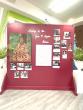 Origins of the Jean P. Haydon Museum