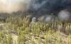 Kazakhstan sees spike in wildfires amid heatwave