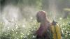 FAO data ranks Saint Lucia sixth globally for pesticide use intensity