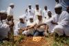 Saving the season: timely seeds and fertilisers help safeguard food security in Sudan