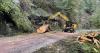 BLM looks to hire 130 staff in Oregon to accommodate increase in timber sales
