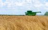 Strong Year In The Black Sea Offset Lower Wheat In U.S. & Canada