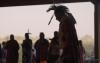 Cherokee filmmaker honored at Tulsa film festival for sacred red rock documentary
