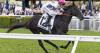 Tips and previews for all 10 races for Rosehill this Saturday