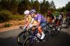 'If you've got the resources, why not?' - Australian all-rounder Michael Matthews defends UAE Team Emirates-XRG's stage-hunting mentality at the Tour de France