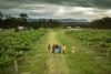 Wine Australia to host UK and Ireland wine buyers