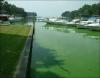 Florida governor’s betrayal of clean water promise reaches peak with biosolids veto