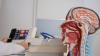 The Cost of Neurophobia in Canadian Medical Training