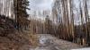 Weather service issues flood watch, cautions communities near recent wildfires
