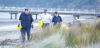 Korokoro bird hospital closes doors to sick seabirds after first flu case