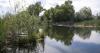 Montana company's floating islands help reduce wetland methane emissions