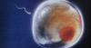 Who gets frozen embryos after divorce? South African law is not straightforward