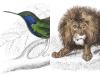 A designer just put 1,300+ restored 19th-century wildlife illustrations online for free