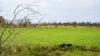 Eco-Scheme payments of €203m begin issuing to farmers