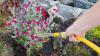 Hosepipe ban in place amid new weather warning