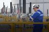 Engineering group picked off London Stock Exchange in £4.1bn deal