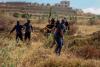 Reports of more than 16 settler-related incidents across the West Bank in the past 24 Hours