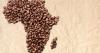 10 food giants in Africa