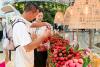 Ancient summertime treat delights consumers
