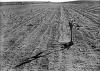 Water officials warn Trinidad faces years-long drought recovery