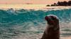 Where to travel in August