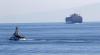 U.S. military says it attacked a tanker sailing under Curaçao flag; Curacao denies