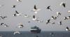 India bars deployment of its seafarers on ships passing through Strait of Hormuz