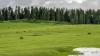 Forest Dept bans camping in Pir Panjal