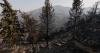 One person reportedly killed as Algeria battles wildfires