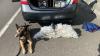 Mexican national sentenced to prison on illicit drug charges