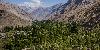 Tajikistan Turns to Satellites to Discover How Much Forest It Has Left