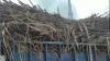 Belize Sugar Farmers Say Second Crop Payment Falls Short of Meeting Rising Costs