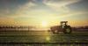 Excess cadmium in soil and food is an EU concern