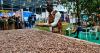 Africa’s fourth-largest cocoa producer bans raw exports to the West