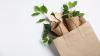 Pregis reports 55% revenue in 2025 from sustainable products