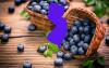 The Blueberry Capitol Of The World Is In New Jersey