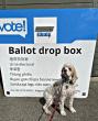 Ballots are in the mail for the August Primary Election