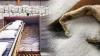 Pakistan Sugar Mills push for 600000-Tonne Sugar Export amid Surplus Crisis