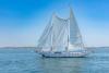 A Cape Cod Circumnavigator Sails By on a Tall Ship