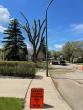 A 2026 Update on the Dutch Elm Disease situation in Saskatchewan