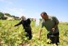 Gaza Strip: Scale-up in FAO’s conditional cash for farmers projected to help feed 100 000 people over the next year