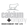 Calcium+Company launches proprietary AI-powered acceleration platform, NORA