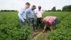 Farmer collaboration fund opens with £30m backing